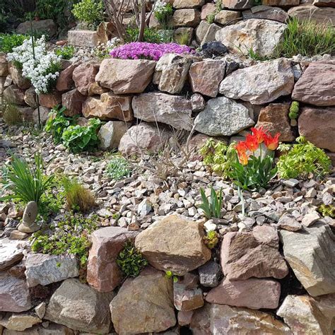 10 Best Plants For Rock Gardens In 2021 Rock Garden Plants Rock