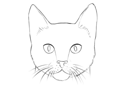 Cat Face Coloring Page