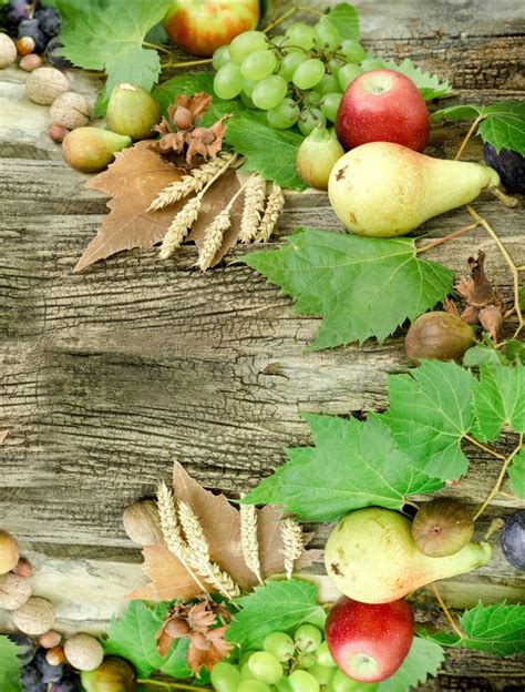 Autumn Harvest On Rustic Wooden Table Healthy Organic Food Stock