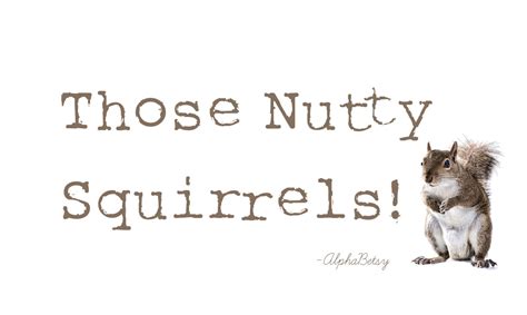 Pin By Joanie Arlyce Carver On The Nut House Squirrel Nut House