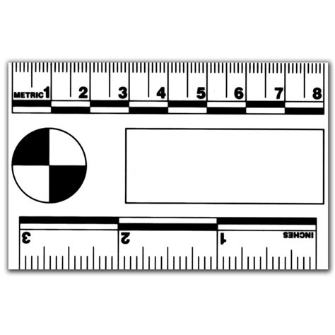 Actual Size Forensic Ruler Printable Printable Templates