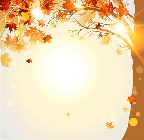 The Sun Shines Brightly In Front Of An Autumn Tree With Falling Leaves