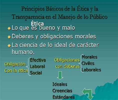 Promotor De Etica Profesional Para El Contador Principios Basicos De