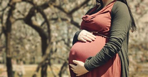 Así Surge El Vínculo Entre Madre E Hijo Durante El Embarazo Escuela