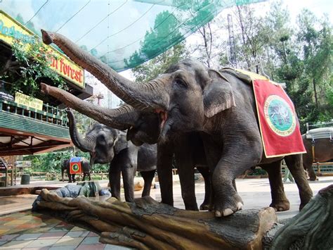 Tempat Wisata Di Puncak Bogor Dan Sekitarnya Wajib Dikunjungi