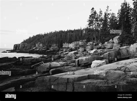 Rugged Cliffs Of Ocean Path Along The Shoreline Of Acadia National Park