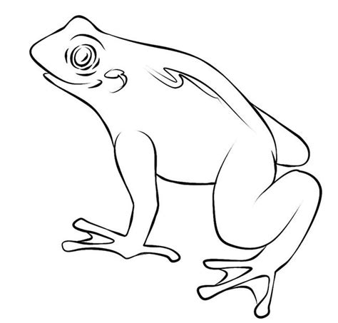 Frog Template For Preschool