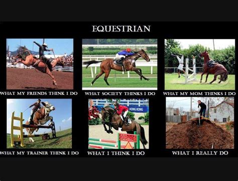 Pin By Francescas On Equestrian Swag Equestrian Memes Funny
