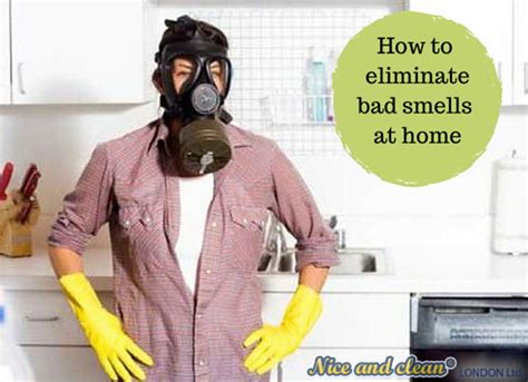 How To Remove The Bad Odour From Home Easily And Successfully Nice