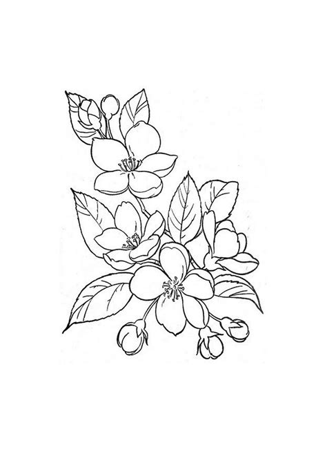 Flower Line Drawings Flower Sketches Art Drawings Sketches Tattoo