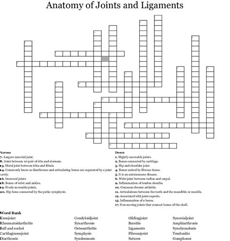 Bone Anatomy Crossword Dog Anatomy Crossword Wordmint