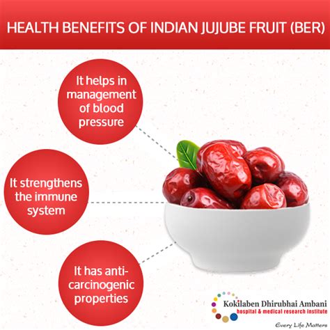 Health Benefits Of Indian Jujube Fruit Ber Health Tips From