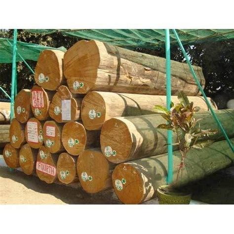 Burma Teak Wood Teak Hardwood Teak Lumber Teak Timber टीक वुड
