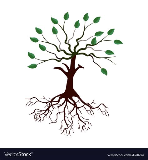 Tree With Roots And Leaves Cartoon Image Vector Image