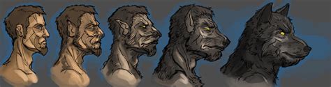 Werewolf Transformation By Andy Butnariu On Deviantart