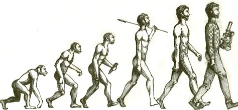 Theory Evolution Scientific Theory Evolution Man