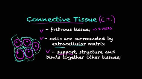 What Is A Tissue Biology Tutorial Youtube