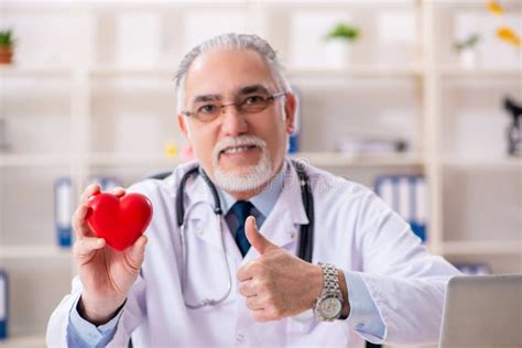 The Aged Male Doctor Cardiologist With Heart Model Stock Image Image Of Diagnostic Disease