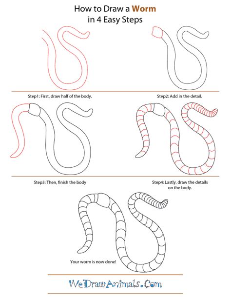 How To Draw A Worm