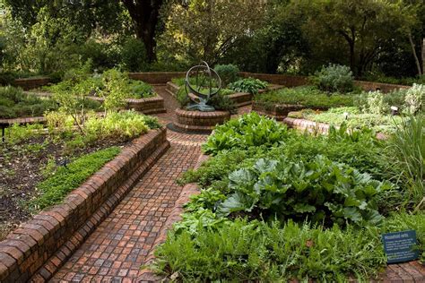 Shade Loving Herbs Grow In Popularity For Landscape Clients