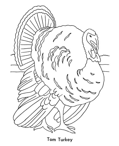 Turkey Outline Coloring Pages Coloring Pages