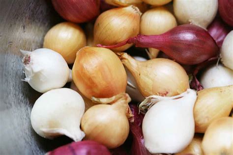 Braised Pearl Onions