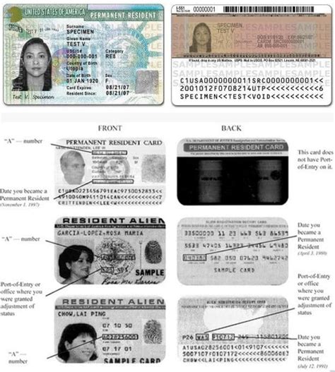 Permanent Resident Card Alien Number E Verify Permanent Resident Card