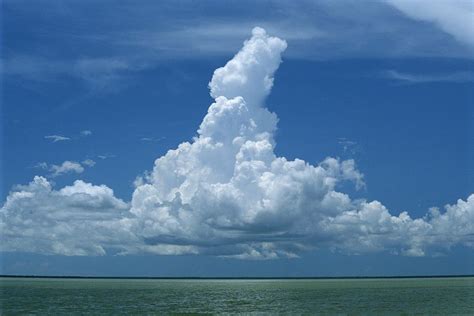 Cumulus Clouds Over Florida Bay Photograph By Wolcott Henry