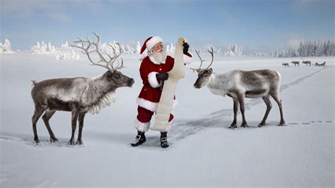 How Many Reindeer Does Santa Have And Can They Really Fly Goodto