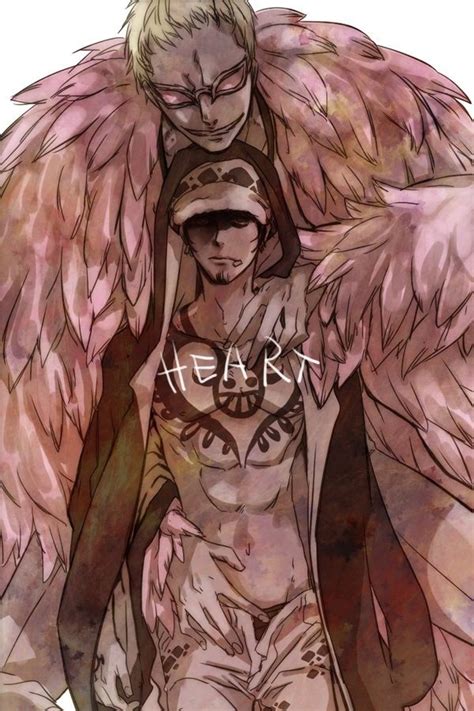 donquixote doflamingo x trafalgar law one piece Ảnh vui hồng hạc