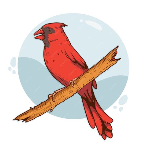 Ilustração De Pássaro Cardinal Desenhada à Mão Vetor Grátis