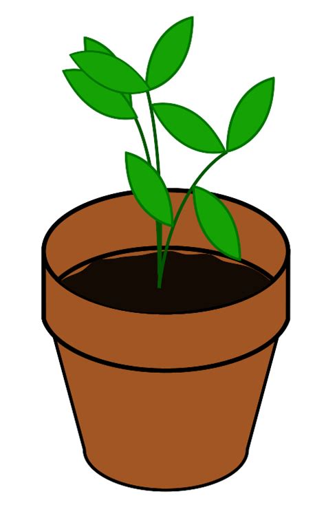 Plant In Pot Clip Art At Vector Clip Art Online Royalty