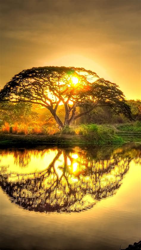 Sunset Pond Trees Landscape Wallpaper 1080 X1920 Chill Out Wallpapers