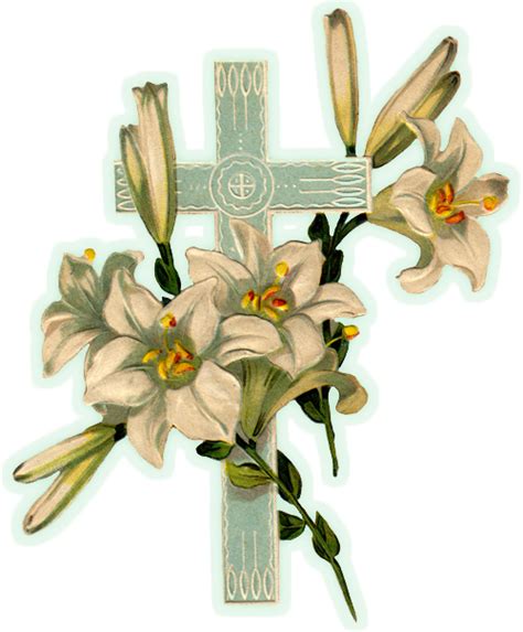 Free Lily Cross Cliparts Download Free Lily Cross Cliparts Png Images
