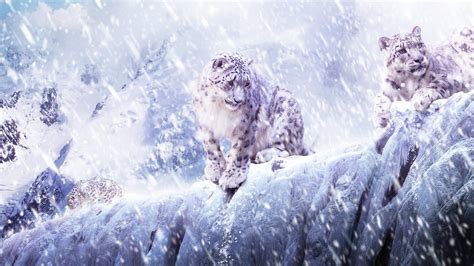 Leopard Art Fantasy Snow Paw Iarna Animal Winter