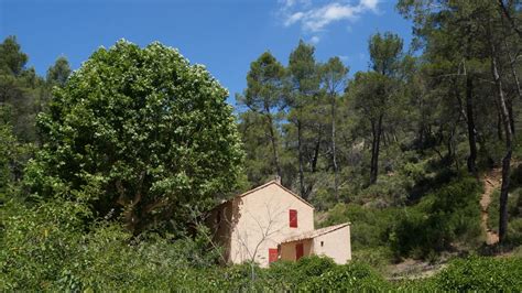 Photo Forest On The St Victoire By Le Tholonet Nearby Aix En Provence