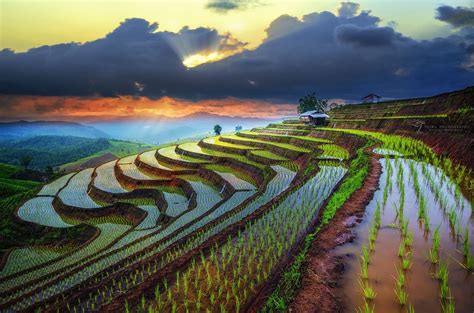 Rice Filed Of Terraces In Chiangmai By Tetra On 500px Pabongpiang Rice