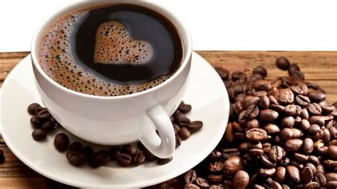 kopi arabica temanggung sensasi ngopi  rumah mukidi rp