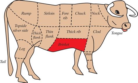 Shop car collision parts and auto body pieces: Diagram of How to Butcher a Beef Cow