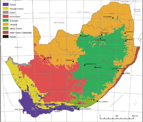 Map Of Nine Biomes In South Africa Fynbos Succulent Karoo Desert