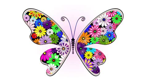 Free Download Colorful Butterfly Backgrounds 8 Background Wallpaper