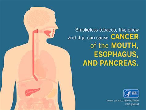 Cdc Fact Sheet Smokeless Tobacco Health Effects Smoking