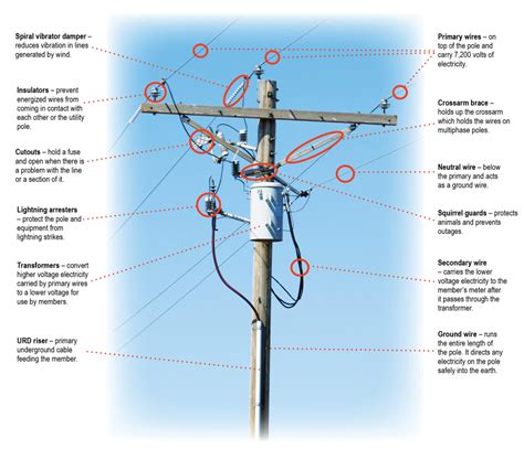 What Is This Is On A Utility Pole Power Electric Advance Science
