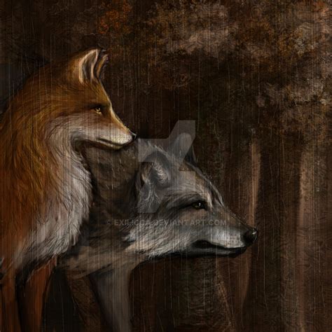 Wolf And Fox Illustration 2 By Exilicca On Deviantart