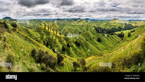 New Zealand North Island Taranaki Landscape Seen From Forgotten