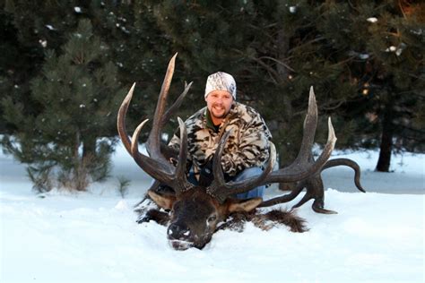 Record Elk Found Pinned Alive With Antlers Stuck In Mud Field And Stream