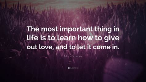 Morrie Schwartz Quote The Most Important Thing In Life Is To Learn