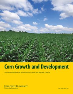 Corn Growth Classic Rewritten And Available To Order Integrated Crop
