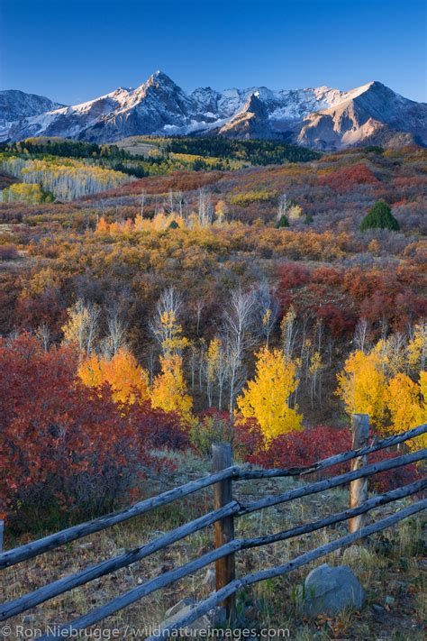 Autumn Colors Dallas Divide Colorado San Juan Mountains Colorado
