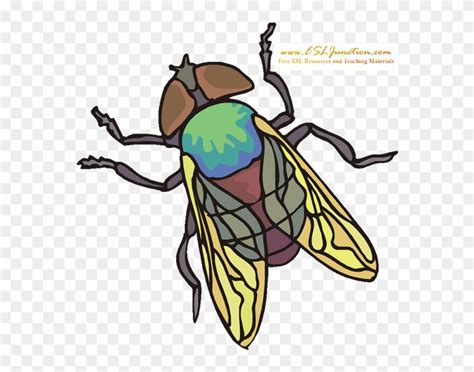 Clipart Insects 20 Free Cliparts Download Images On Clipground 2023